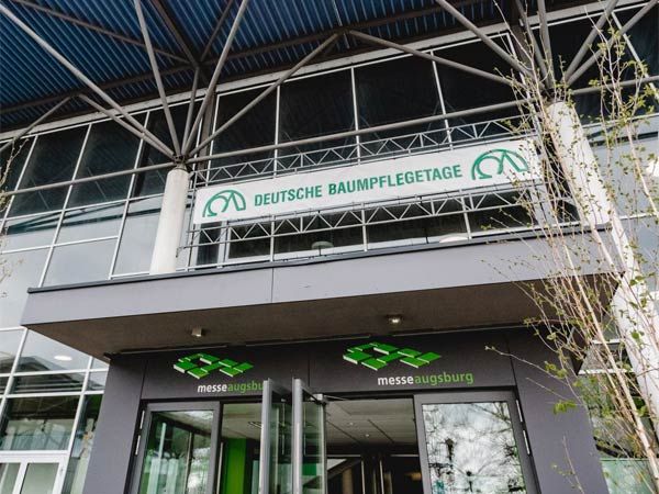 Baumschutz mit Unterpflanzung, Untersuchung und Rechtsschutz